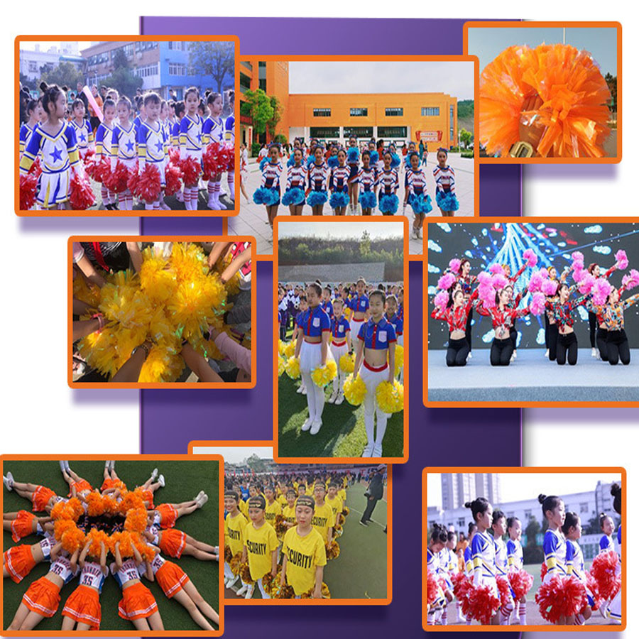女の子のための金属製のペットのチアリーダーポンポン,チアリー - Cheerleading Pom Pom のレビューと価格